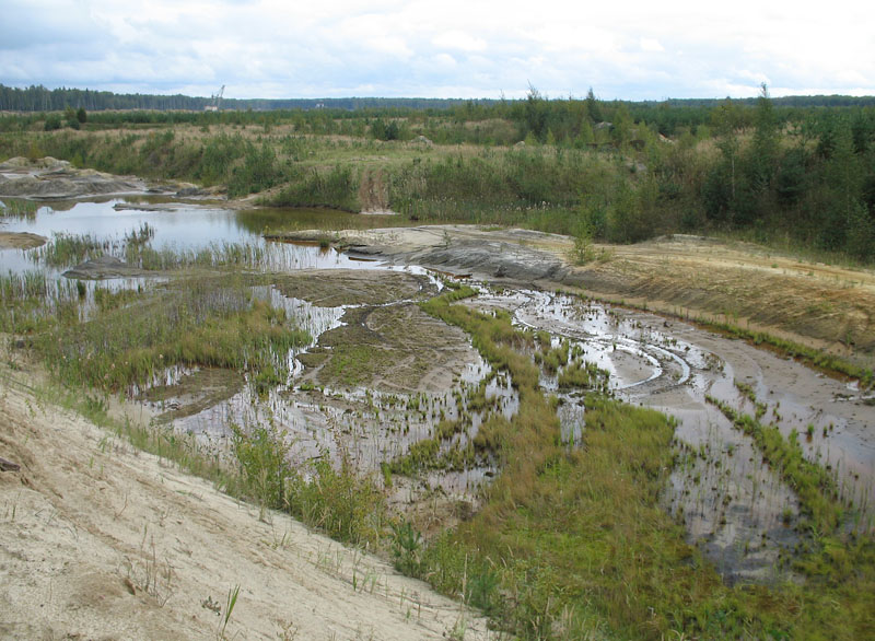 Лопатинский рудник