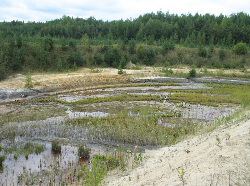 Лопатинский рудник