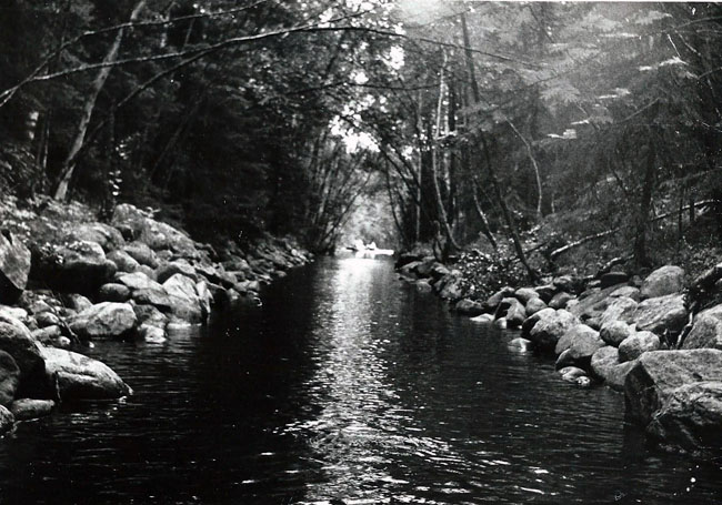    1986 