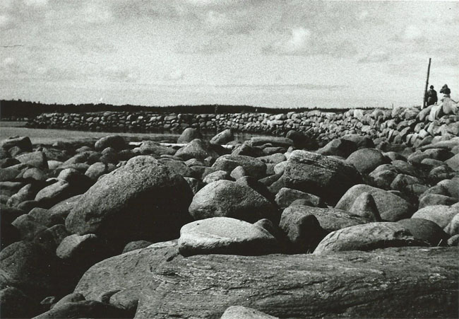    1986 